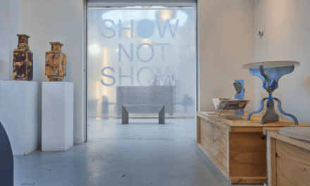 SHOW NOT SHOW op de eerste Design Biënnale Rotterdam